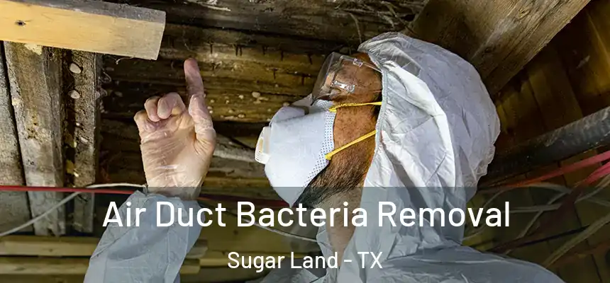 Air Duct Bacteria Removal Sugar Land - TX