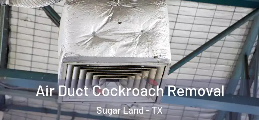 Air Duct Cockroach Removal Sugar Land - TX