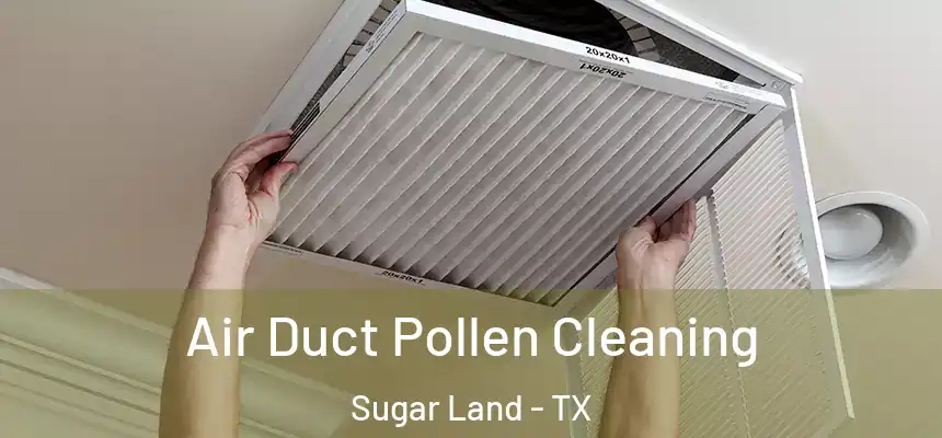 Air Duct Pollen Cleaning Sugar Land - TX