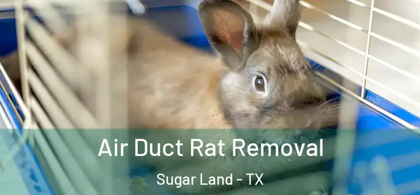 Air Duct Rat Removal Sugar Land - TX