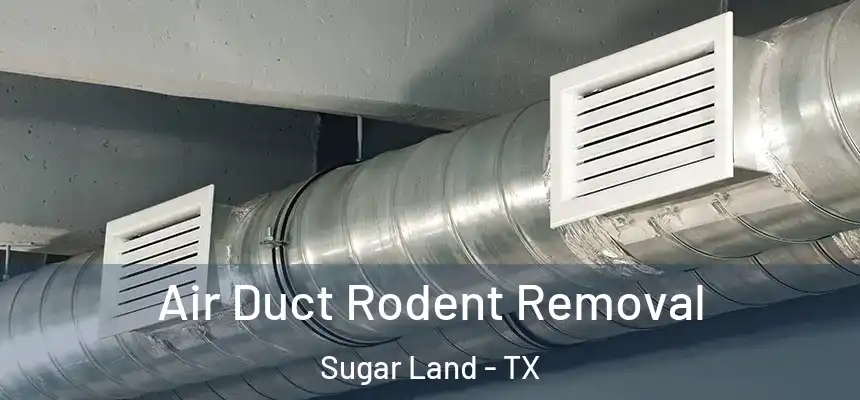 Air Duct Rodent Removal Sugar Land - TX