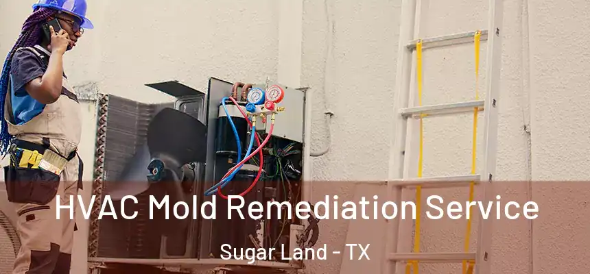 HVAC Mold Remediation Service Sugar Land - TX