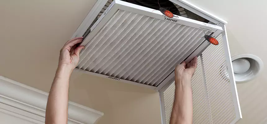 Preventive Cockroach-Proofing for Ducts in Sugar Land
