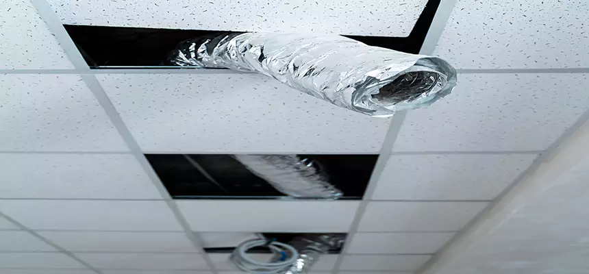 Our Air Duct Pet Hair Removal Services in Sugar Land, TX