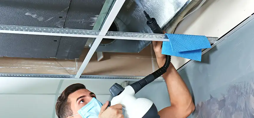 Our Air Duct Rodent Removal Services in Sugar Land, TX