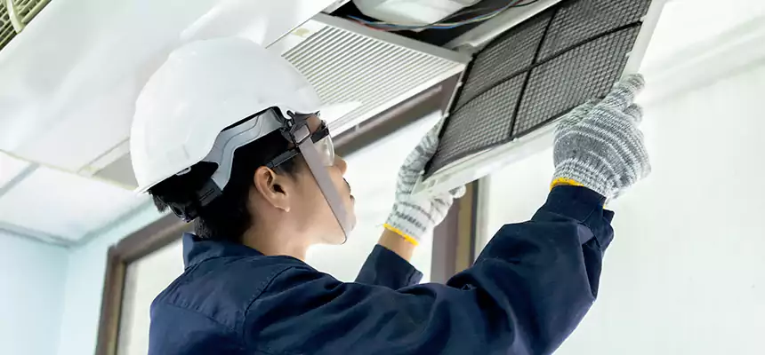 Our Mold & Mildew Removal from Air Ducts Services in Sugar Land, TX