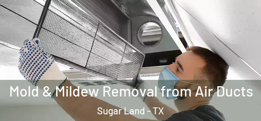 Mold & Mildew Removal from Air Ducts Sugar Land - TX