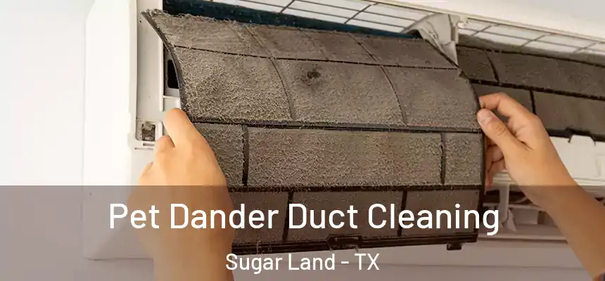 Pet Dander Duct Cleaning Sugar Land - TX