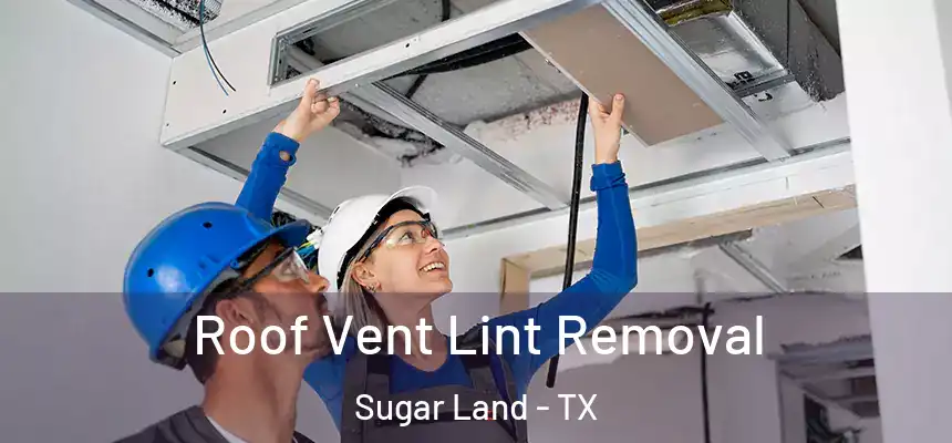Roof Vent Lint Removal Sugar Land - TX