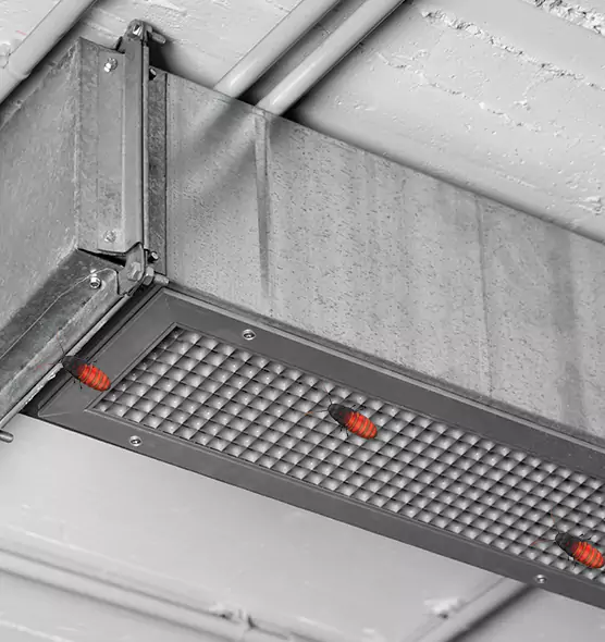 About Air Duct Cockroach Removal in Sugar Land, TX