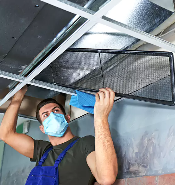 Professional Air Duct Pollen Cleaning in Sugar Land, TX