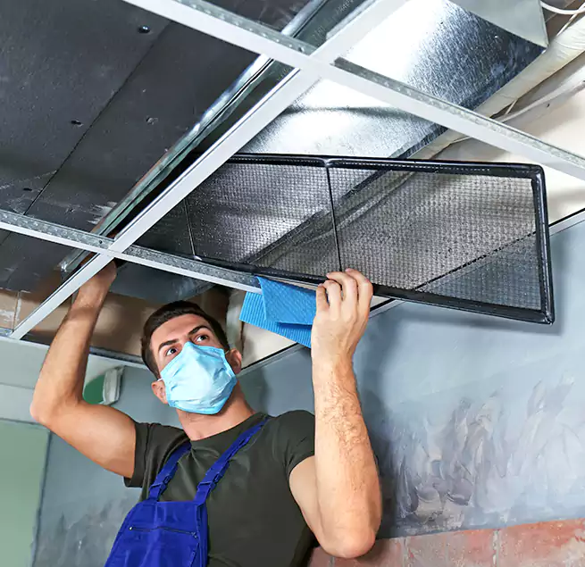 Why Homeowners Businesses Trust Us in Sugar Land, TX