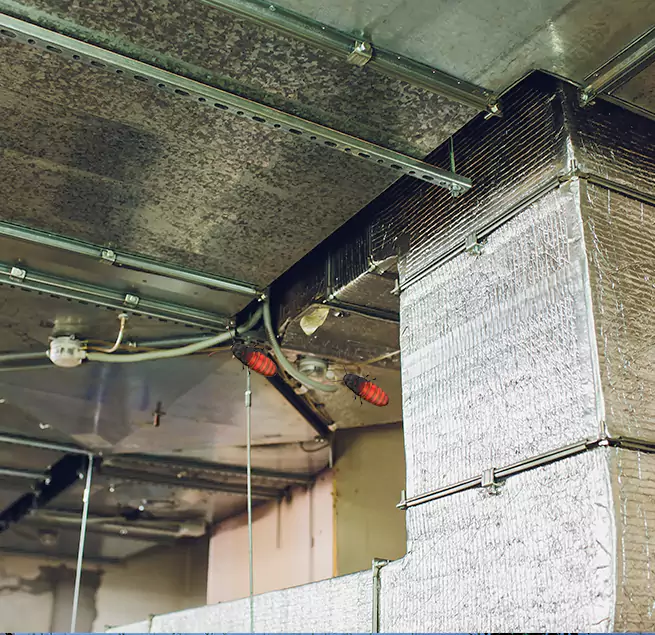 Why Homeowners & Businesses Trust Us Sugar Land, TX?